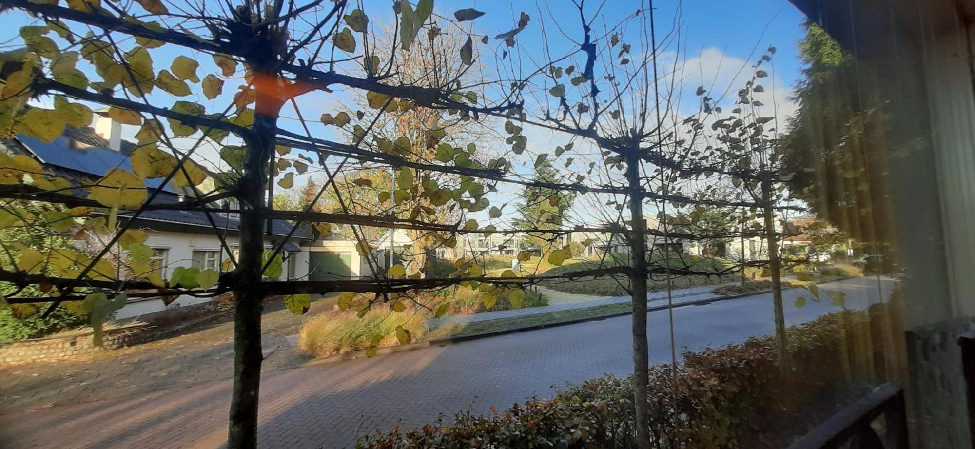 B & B De Groene Slaper Silvolde Buitenkant foto
